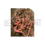 Immagine prodotto precedente