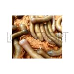 Immagine prodotto successivo