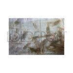 Immagine prodotto successivo