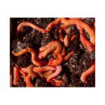 Immagine prodotto precedente