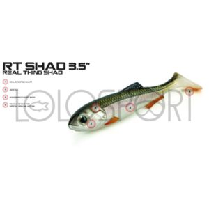 Molix RT Shad 3.5”