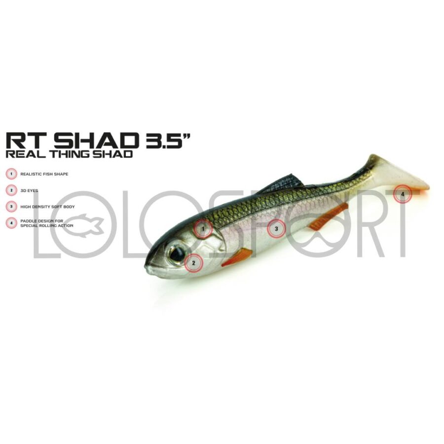 Molix RT Shad 3.5”
