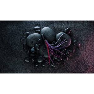 White Monkey Bullet Octopus Traina