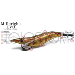 Molix Millerighe EVO Natural Series 3.0