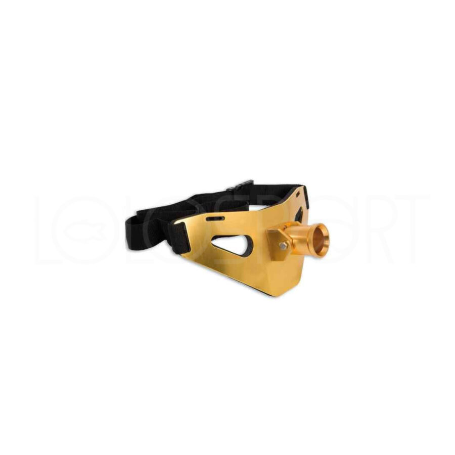 CINTURA DA COMBATTIMENTO GOLD