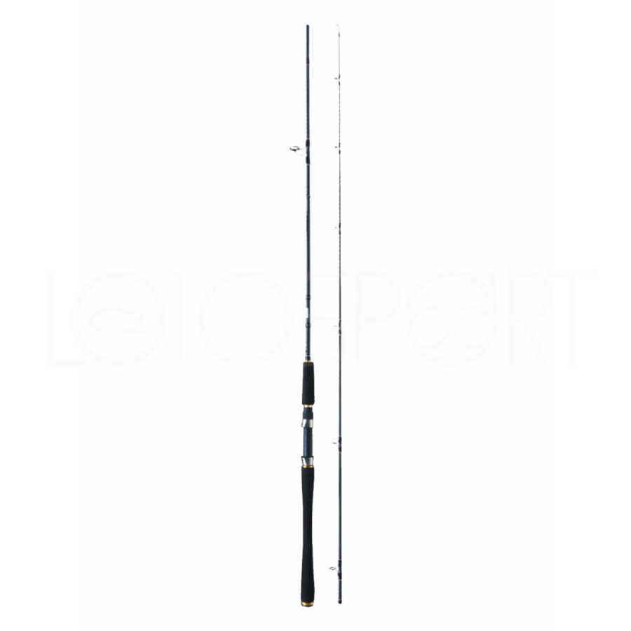 JATSUI CANNA ABSTRACT 8'2' 40-80GR