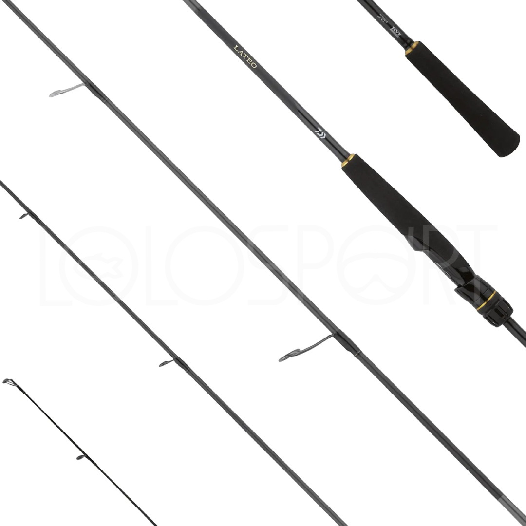 CANNA DAIWA LATEO SPINNING MONOPEZZO 2024
