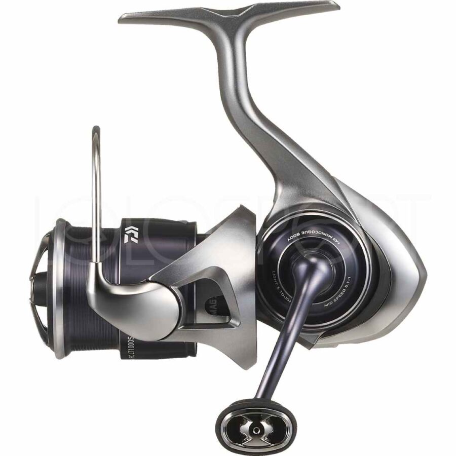 DAIWA 2025 CALDIA MULINELLO