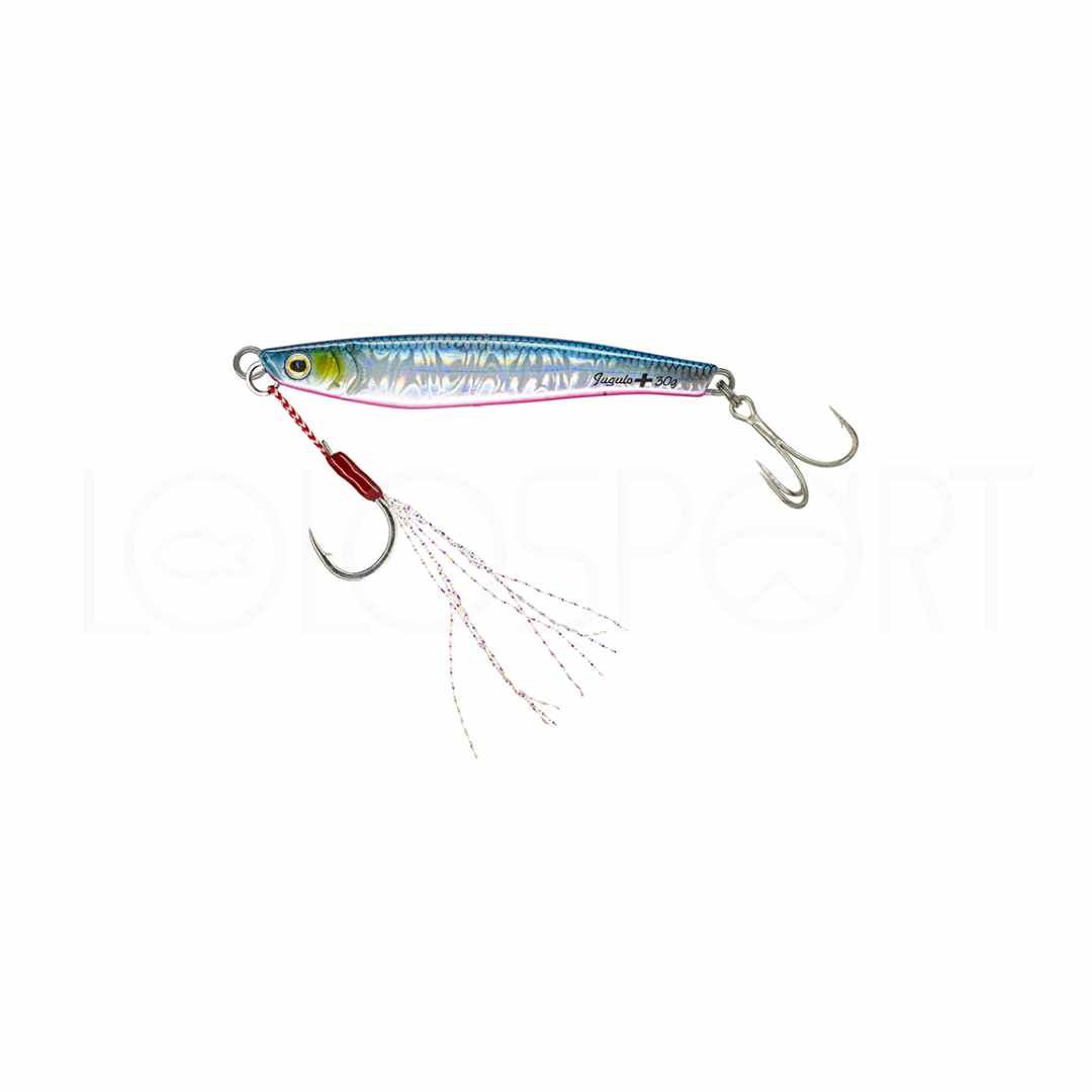 Molix Jugulo Plus Casting Jig 30 gr 40 gr 60 gr 80 gr - immagine 7