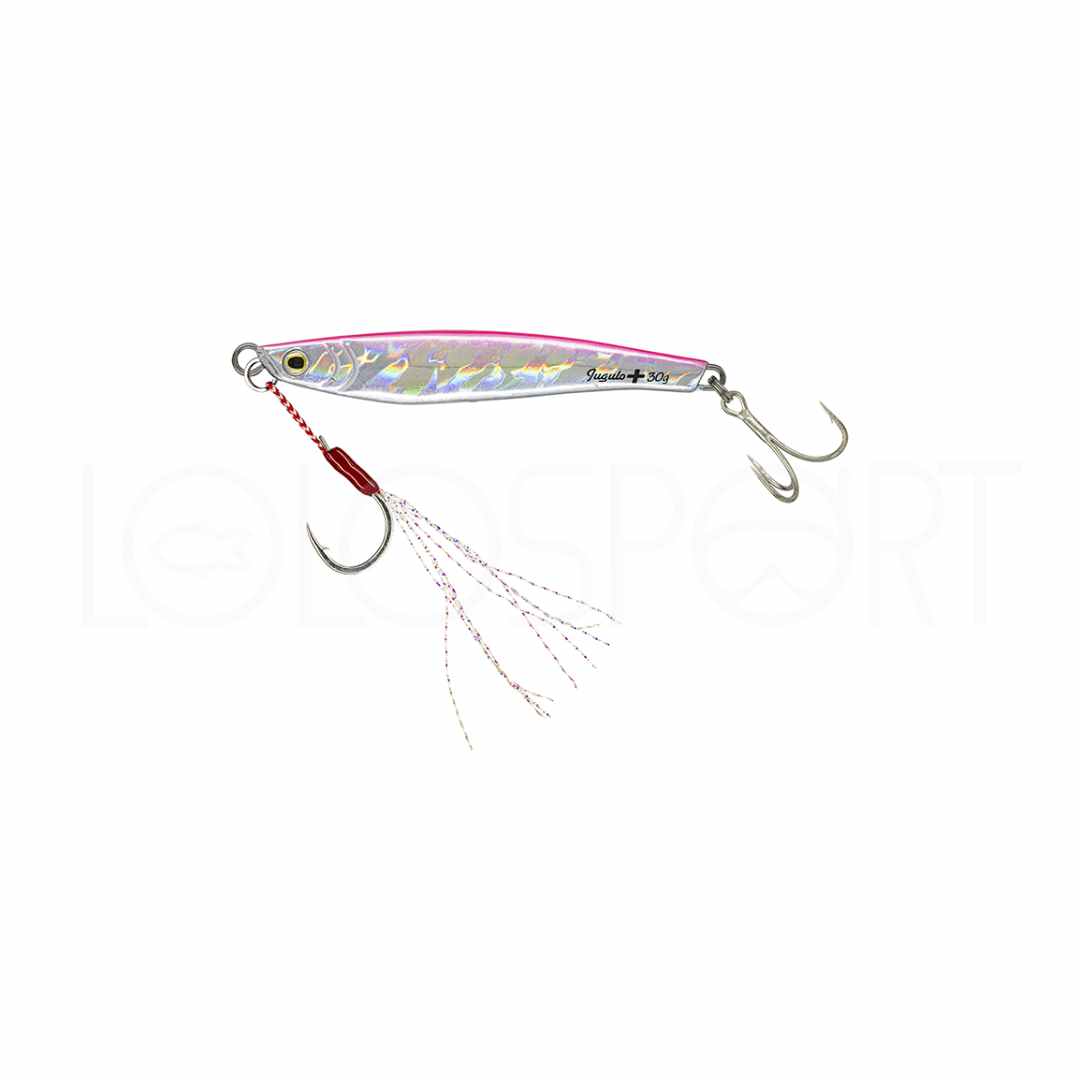 Molix Jugulo Plus Casting Jig 30 gr 40 gr 60 gr 80 gr - immagine 2