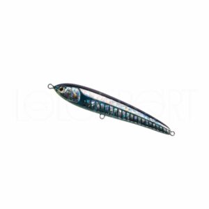 MARIA Rapido F160 50 GR