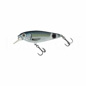 Alternative view of Molix Brugas R 85