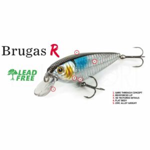 Molix Brugas R 85