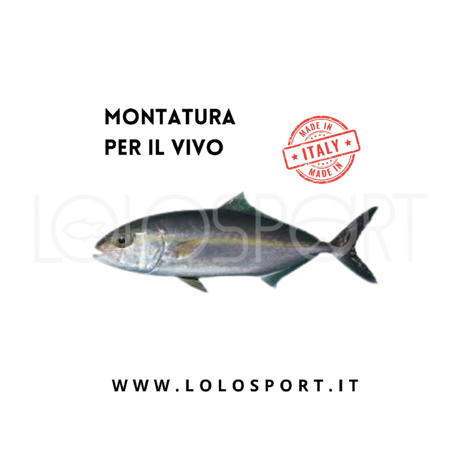 Montatura per la Traina con il vivo - Lolosport