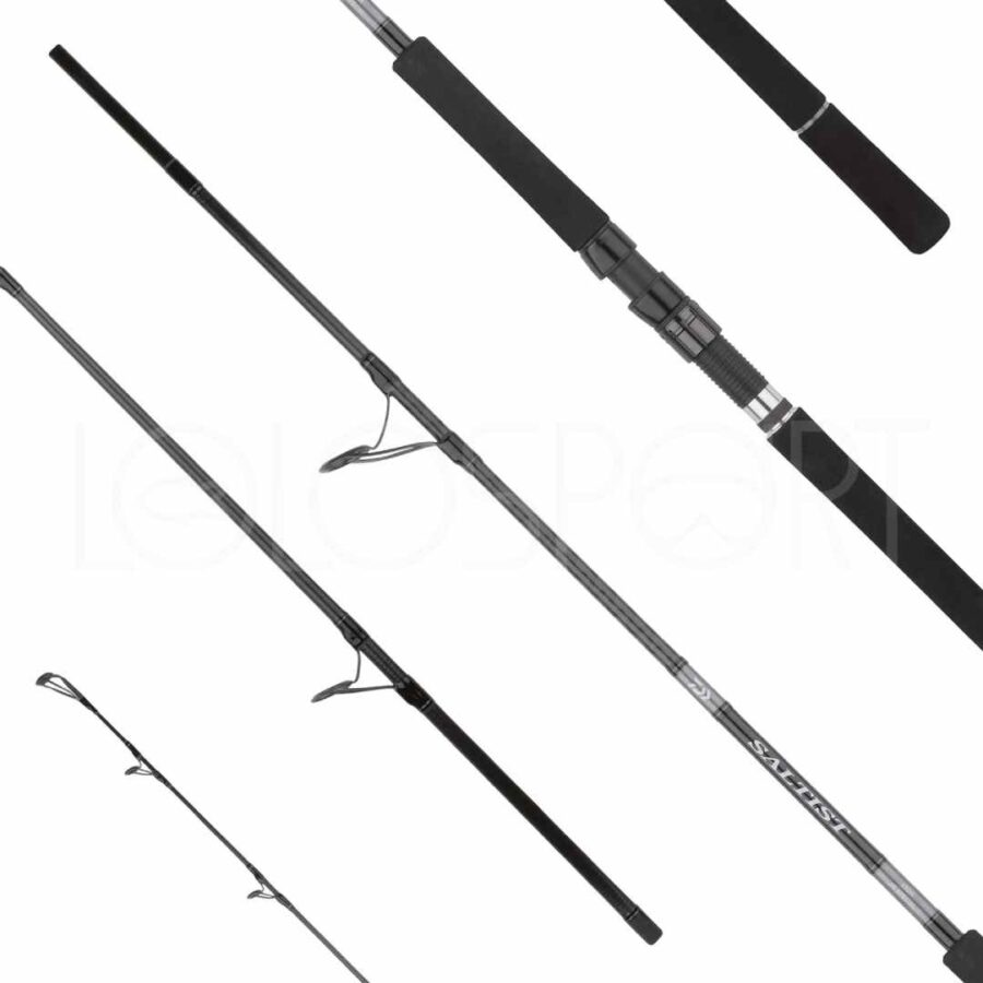 DAIWA CANNA 25 SALTIST X SJ 100H SALTX100HJSAI