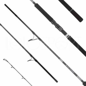 DAIWA CANNA 25 SALTIST X SJ 98MH SALTX98MHJSAI