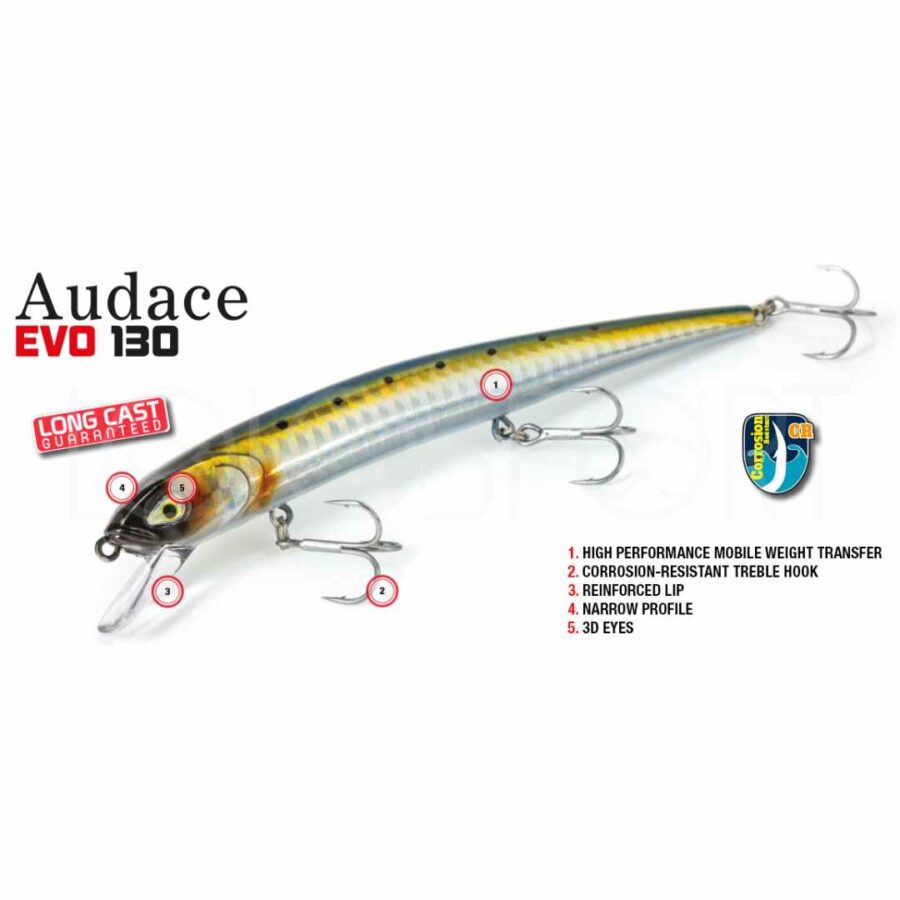 Molix Audace EVO 130SS