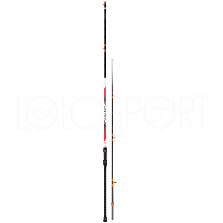 COLMIC CARTER BOLENTINO 300GR 2 TIPS