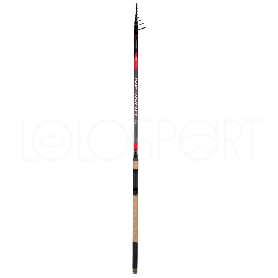 Canna Colmic Duncan 10-80 GR 4 MT - 4.20 MT