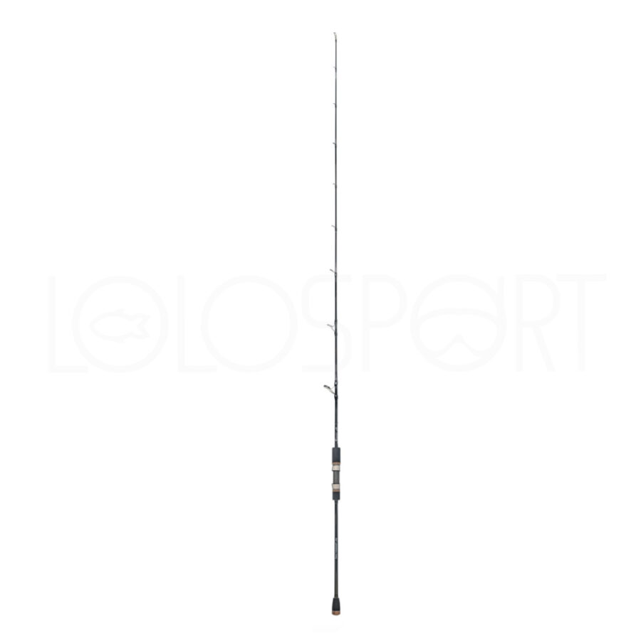CAPTAIN J. SEA MASTER JIG 6'3'' 150-350 GR TYPE S CANNA