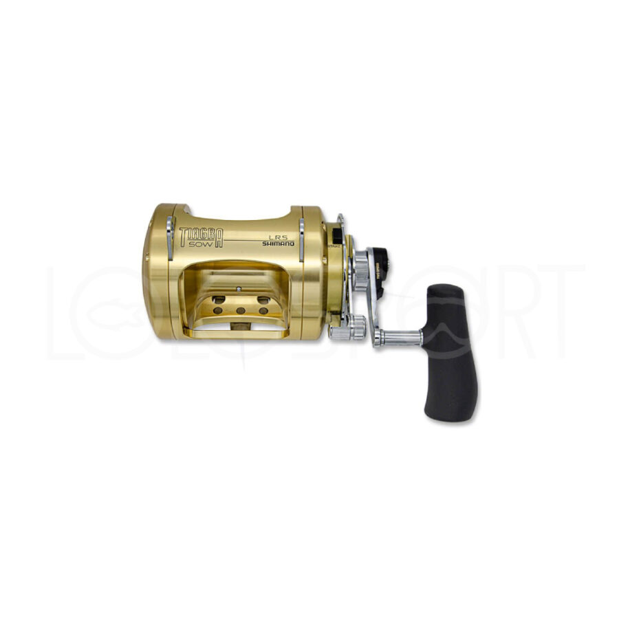 Shimano Tiagra 50 WLRS A 2 Speed